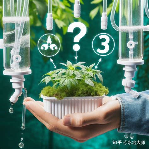 水培營養液|水培营养液指南：解开成功水培种植的秘密